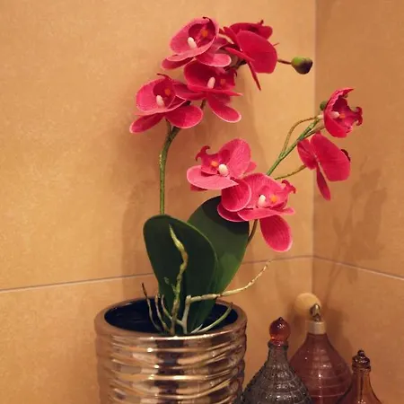 Apartman See Brac